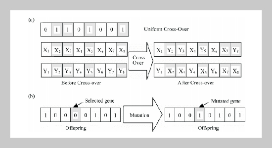 Study of Dynamic Backcalculation Program with Genetic Algorithms for FWD on Pavements