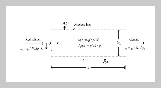 Complete Momentum-Balance Analysis of Permeate Flux for Ultrafiltration in Hollow-Fiber Modules