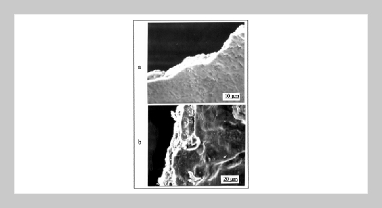 Effect of Ammonium Nitrate on the Conductivity of Pyrolytic Manganese Dioxide