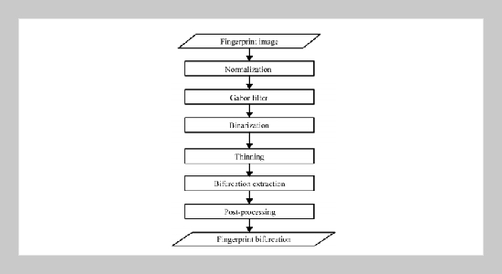 A Fingerprint Identification System Based on Fuzzy Encoder and Neural Network