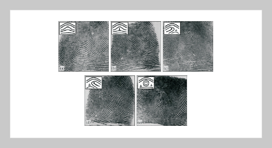 An Effective Method for Fingerprint Classification