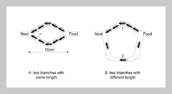 A Distributed Multipath Routing Strategy for LEO Satellite Networks