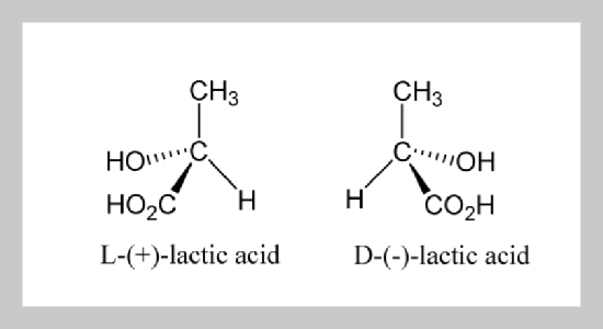 Optically Pure L-Lactic Acid Production Directly from Leftover Bits and Pieces of Potato Starch Using an Amylolytic Pellet-Form Complex Rhizopus Oryzae ASC081