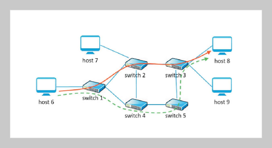 Preferential Detour of Unimportant Data Stream in Software Defined Networks for Improving Video Transmission Quality