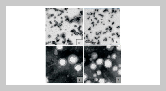 Study on Synthesis and Thermal Stability of Non-amine Waterborne Polyurethane-polyacrylate