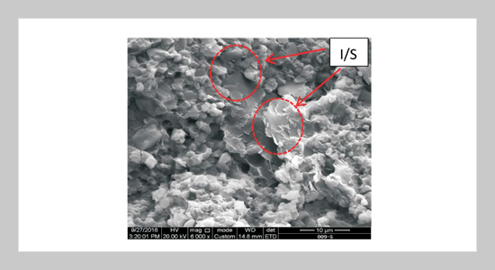 A Study of High Performance Drilling Mud Used in the Southern Margin of Junggar Basin