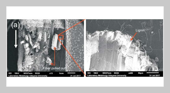 Water absorption and impact strength of alkali-treated bamboo fiber/polystyrene-modified unsaturated polyester composites