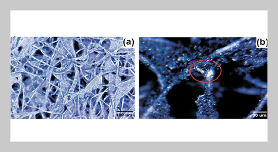 Adsorption Isotherm of NaCl from Aqueous Solutions onto Activated Carbon Cloth to Enhance Membrane Filtration