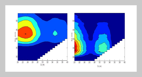 Fluorescence Organic Carbon Components and its Correlation with Bulk Organic Parameters in Water Treatment Processes