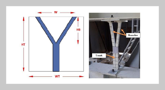 Experimental Investigation of Dendriform Structure Under Static Loading