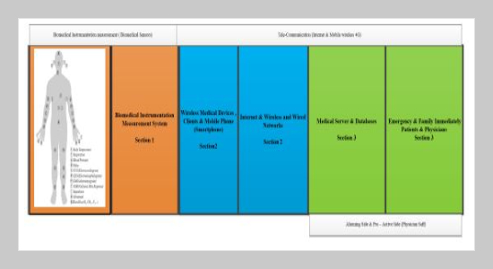 Remote Health Care based on mobile wireless communication Networks