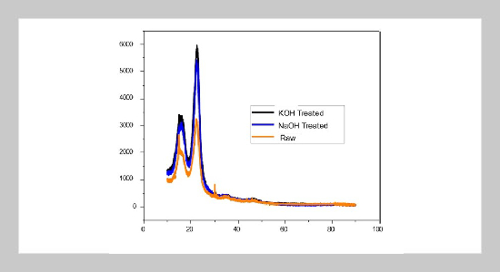 Comprehensive Characterization Of Novel Cellulose Fiber From Paederia Foetida and Its Modification For Sustainable Composites Application