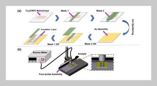 In Situ Deposited Cu2O/NiO Nanoarrays Sensors For Bio-H2S Detection In Blood