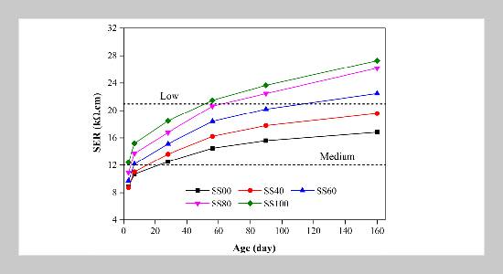 Assessment of engineering properties and durability of concrete using steel slag as coarse aggregate