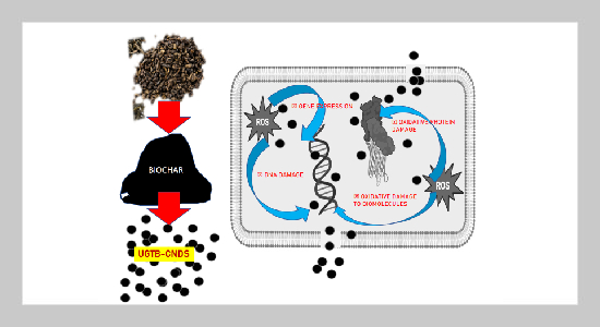 Carbon nanodots from used green tea biochar: antibacterial applications and antibiofilm carbon coatings