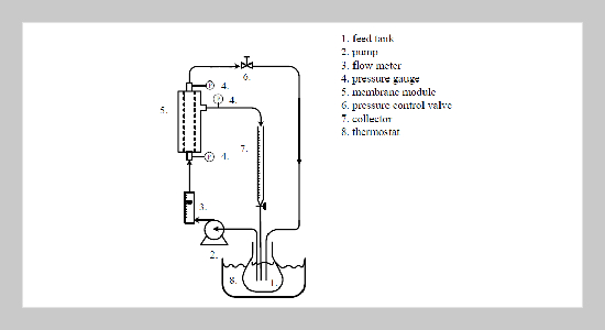 Modified Boundary Layer Resistance Model for Membrane Ultrafiltration 