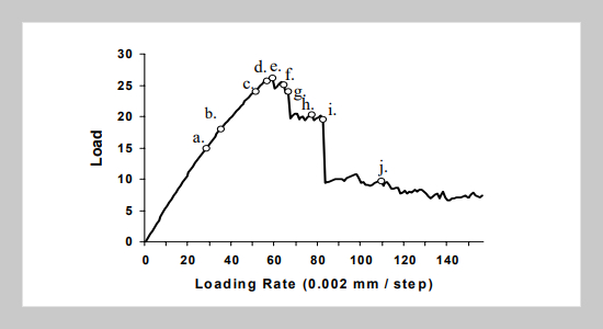 Numerical Simulation of the Failure Process of Rocks 