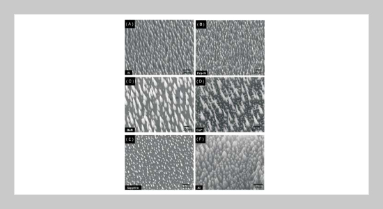 Generally Applicable Self-masking Technique for Nanotips Array Fabrication