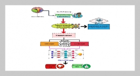 Innovative Credit Risk Assessment System Using Artificial Intelligence