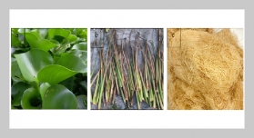 The Effectiveness Of Alkali Ttreatment  And Dispersing Agents In Enhancing The Mechanical Performance Of HDPE/Water Hyacinth Fiber Biocomposites