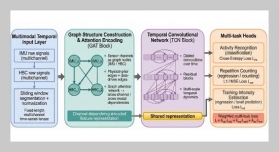 Multi-Task Learning for Sports Training Monitoring via Multimodal Fusion of IMU and Human-Body Capacitance Signals