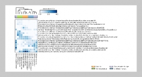 Biochar-Amended Chicken Manure, Vermicompost, and Wastewater Sludge on Hemp Growth, Heavy Metal Accumulation, and Rhizo-Microbial Communities